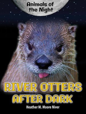 cover image of River Otters After Dark